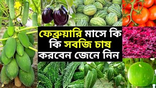 February মাসে কি কি সবজি চাষ করবেন জেনে নিন / ফেব্রুয়ারি মাসে সবজি চাষ/গ্ৰীষ্মকালীন সবজি চাষ