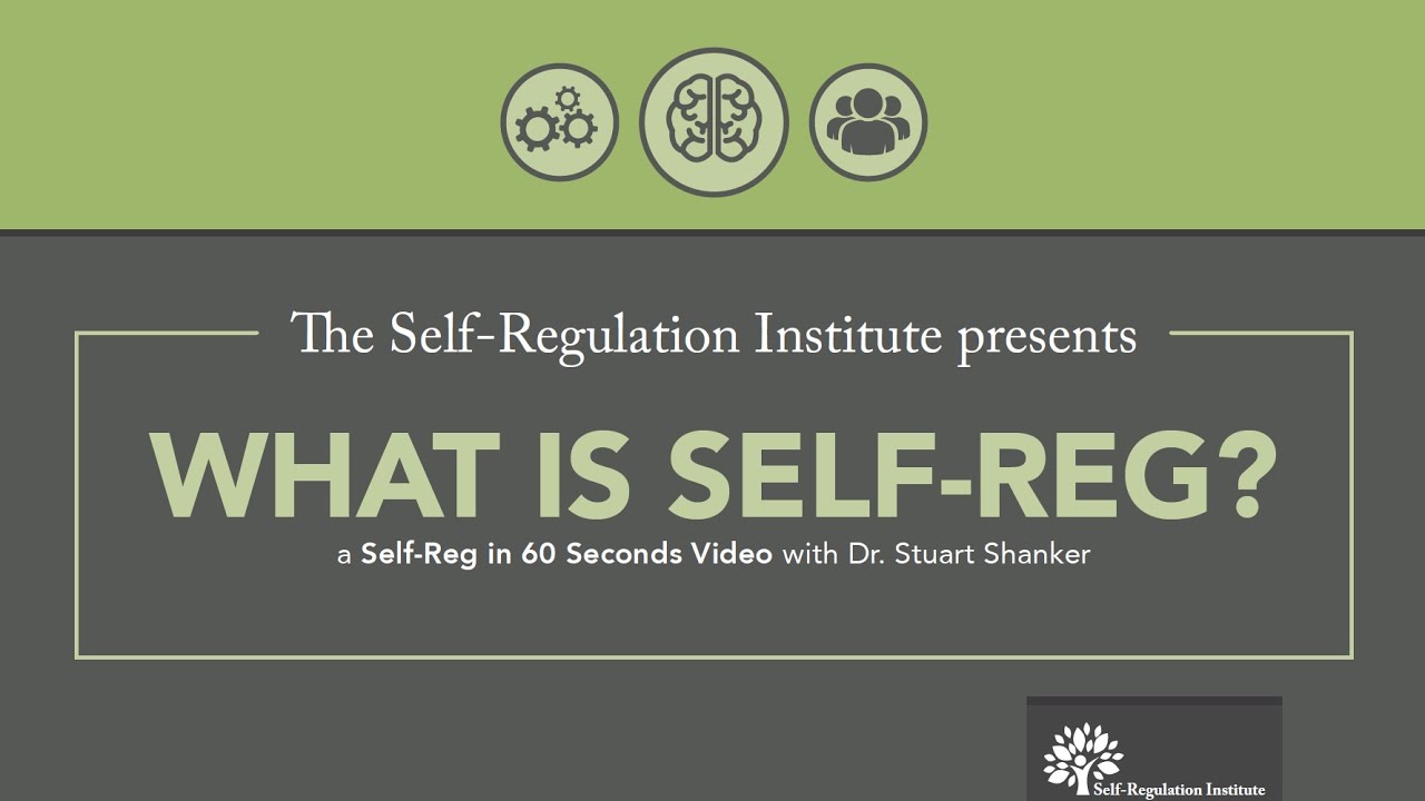 What Is Self Reg Self Regulation Institute With Dr Stuart Shanker