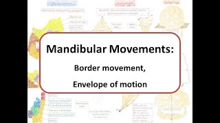 Mandibular movements: Border movements and Envelope of Motion