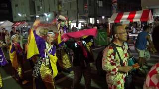 「鳴子華」総踊りパレード②