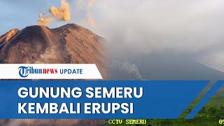 Gunung Semeru kembali Erupsi, Guguran Awan Panas Tampak Meluncur dari Puncak Kawah Sejauh 4,5 KM