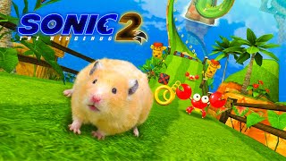 Sonic the Hedgehog 2: Hamster hunts for Chaos Emeralds 🐹 in Hamster Stories 🐹 Hamsterious