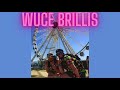 WUCE BRILLIS - The Brannen Bros