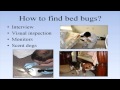 Bed Bug Training for Building Managers and Staff