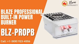 Blaze Professional Built-in Power Burner BLZ-PROPB