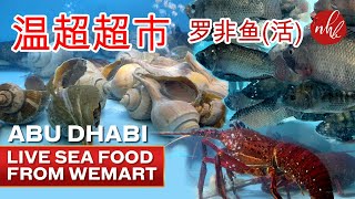 WEMART ! Live Sea Food in WenChao WEMART - Abu Dhabi UAE |  温超超市 - 罗非鱼(活) | 4K