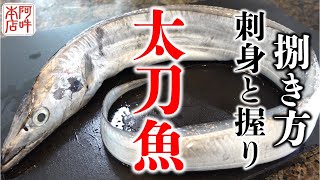 【捌き方】旬の太刀魚捌いてを刺身と握りで味わう