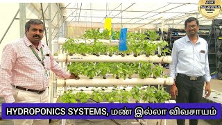 HYDROPONICS SYSTEM மண் இல்லா விவசாயம்