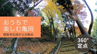 【おうちで楽しむ亀岡(360°/定点)】積善寺石段を染める in Autumn