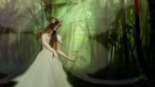 Magical Fairy in The Enchanted Forest.  Fantasy Animated Short.