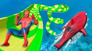 GTA 5 Water Slides | Spider-Shark vs SPIDERMAN Jumps/Fails (Ragdolls & Funny Moments)