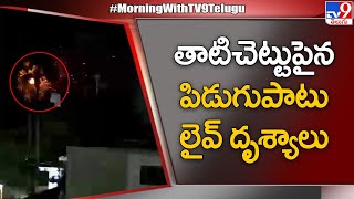 తాడి చెట్టుపైన పిడుగుపాటు లైవ్‌ దృశ్యాలు - TV9