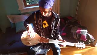 Handmade Instrument Based on a Rabab and Sarod