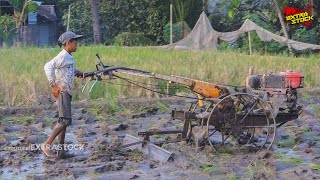 Small Operators Action Hand Tractor Leveling Land Full of Water