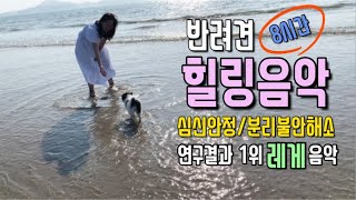 광고없이 듣는 반려견 힐링 레게음악 8시간 연속듣기/외출할때 들려주세요