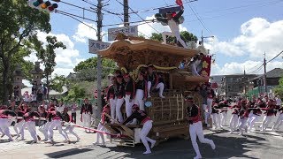 平成30年8月26日鳳サマーカーニバル　野田・大鳥　だんじり曳行