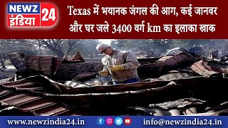 ऑस्टिन - Texas में भयानक जंगल की आग, कई जानवर और घर जले 3400 वर्ग km का इलाका खाक