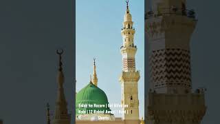 Falak ke Nazaro | Eid Milad un Nabi | Sarkar ki Amad | 12 Rabiul Awwal status |