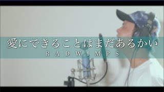 愛にできることはまだあるかい／RADWIMPS【カバー】