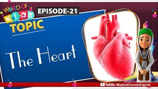 How The Heart Works - World of Kids Episode 21 | Madani Channel English