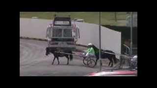 Waikato Kidz Kartz Nov 17th 2013 Race 1 Dunstan Feeds Pony Trot