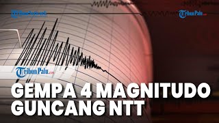 Gempa Bumi Magnitudo 4 Guncang Ende NTT pada Jumat Malam, Pihak BMKG Tak Berpotensi Tsunami
