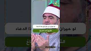 لو حيران فى قرار كرر هذا الدعاء الشيخ أحمد الصباغ