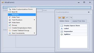 DevExpress Tutorial - Layout Control | FoxLearn