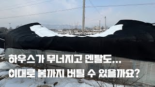 정원에 폭설 피해는 처음이라... | 폭설피해신고 | 비닐하우스 피해 보상 신청하기