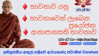 භාවනාව යනු| භාවනාවෙන් ලැබෙන ප්‍රයෝජන|ආනාපානසති භාවනාව|Ven Agulgamuve Ariyananda thero