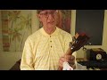 Best Soprano Ukulele in the World According to Davis.  Kmise Tiger Flame.