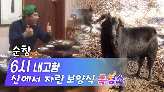 산에 살고 있는(?) 귀한 보양식이 있다! 전북 순창 흑염소 | 6시 내고향 | KBS전주