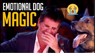 Emotional Magic Dog Acts That Made Simon Cowell Cry 😢 [and other dog magicians]