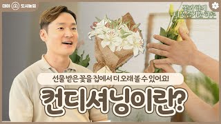 [도시농업] 플로리스트 에이든 #1 컨디셔닝이란?