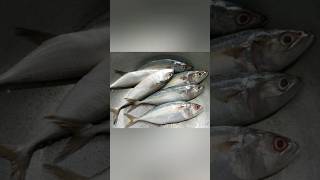 చేపలు తిన్నతర్వాత పెరుగు పాలు తినకూడదు #food #trending #fish #ytshorts#shortsviral