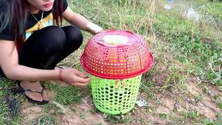 Girl Make Fish Trap Using Plastic Bottle And Basket
