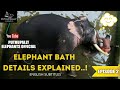 EP. 02  Kerala Elephant Bath Details Explained | Puthuppally Kesavan |