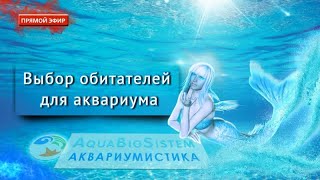 Выбор обитателей для аквариума. Ненаучный стрим.