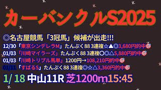 カーバンクルステークス2025予想【中山競馬】内枠＋先行有利で速い時計決着想定[全頭診断＋買い目]