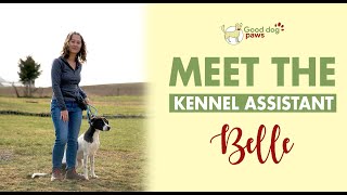 MEET THE KENNEL ASSISTANT: BELLE METZ