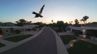 DJI Avata 2 ...2nd flight useing Gogles 3 and MC3.