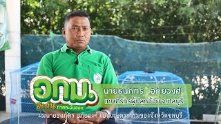 อาสาสมัครเกษตรต้นแบบ นายธนภัทร อภัยวงศ์ จังหวัดชลบุรี