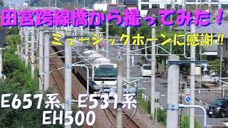 【響くミュージックホーン♪】JR常磐線、牛久駅北側の田宮跨線橋から撮ってみた！キャスト：E657系、E531系、EH500土浦貨物、安中貨物です。