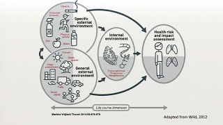 The Social Exposome