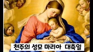 천주의 성모 마리아 대축일 미사 강론: 구동욱 미카엘 신부, S.J.