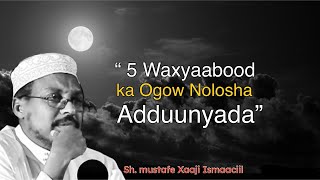 5 Waxyaabood waya Nolosha Adduunka | Sh. Mustafe Xaaji Ismaaciil