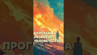 #БлагоВест ✴ ПРОГРАММА РАЗВИТИЯ ЧЕЛОВЕЧЕСТВА