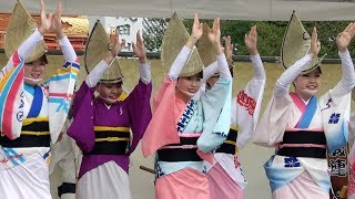 舞台踊り「阿波おどり振興協会選抜連」① 第四回成田伝統芸能まつり（2017.9.16）