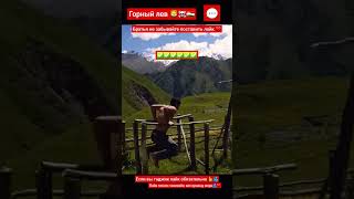 Горный лев лев🦁🇹🇯#shortvideo #nature #tajikistan #shorts #fire #status #trend #топ #россия #реки