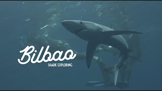 Shark snorkeling Bilbao 2021 | Underwater video shooting